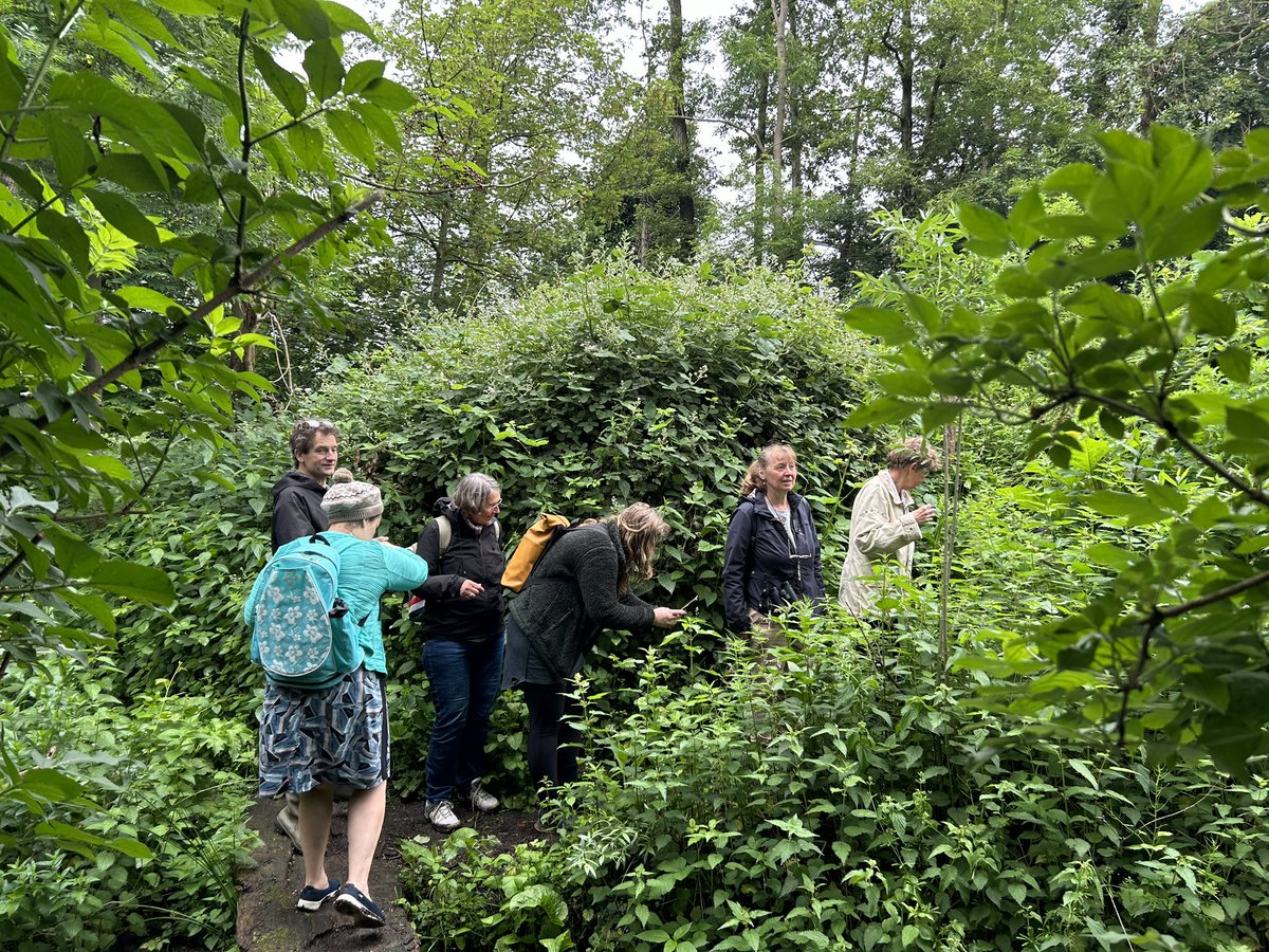 Marjolein Moeijes tweet media