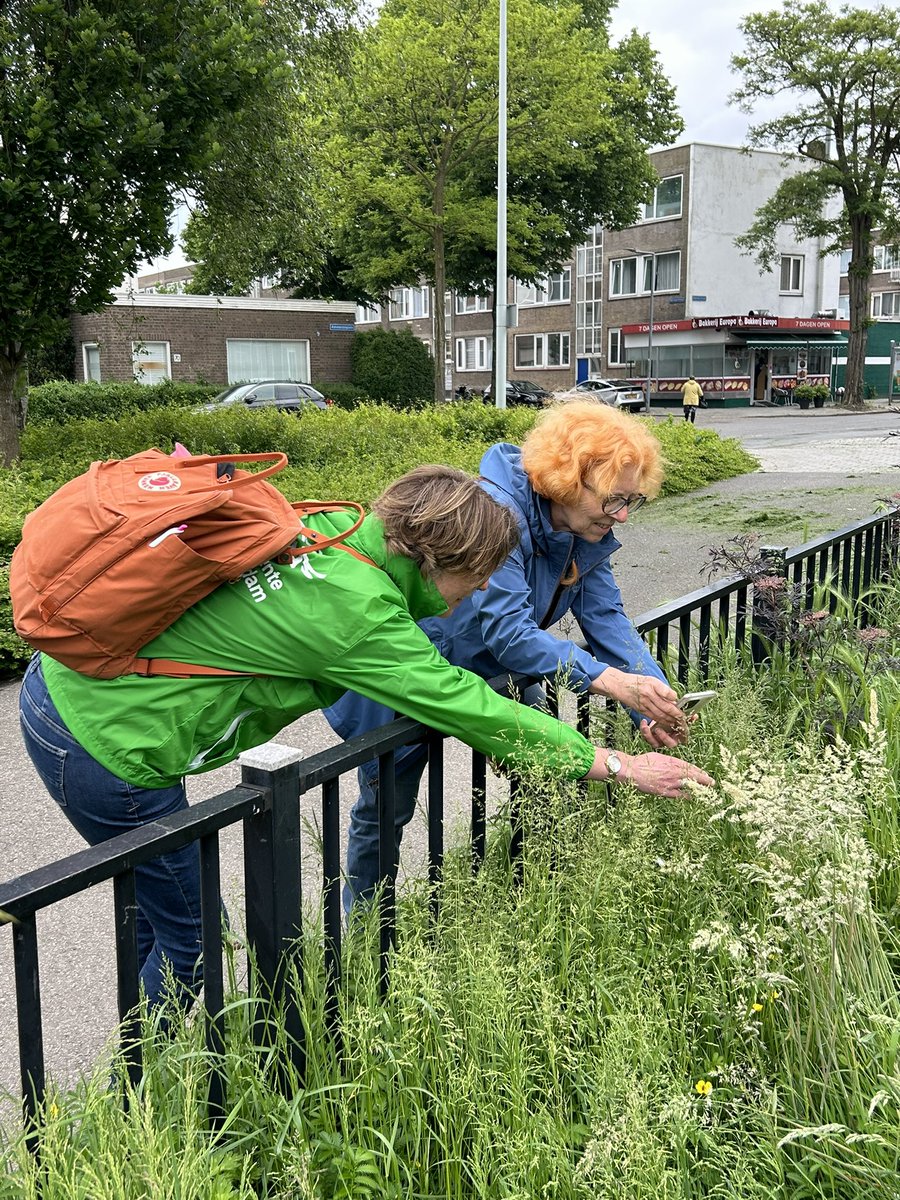 Marjolein Moeijes tweet media