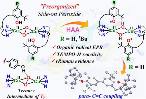 Top Science tweet media