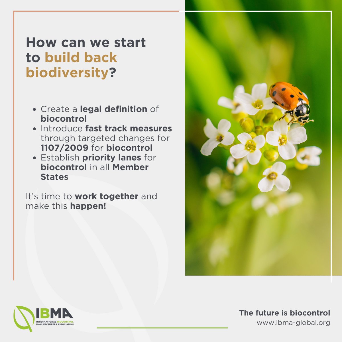 🌱🐞Happy International #BiodiversityDay! This year’s theme is 'Be Part of the Plan.' As farmers urge policymakers to speed up access to #Biocontrol, we’re asking: Can Europe’s #Biodiversity, farmers and #FoodSecurity wait another decade? 
Read more here: linkedin.com/pulse/why-euro…