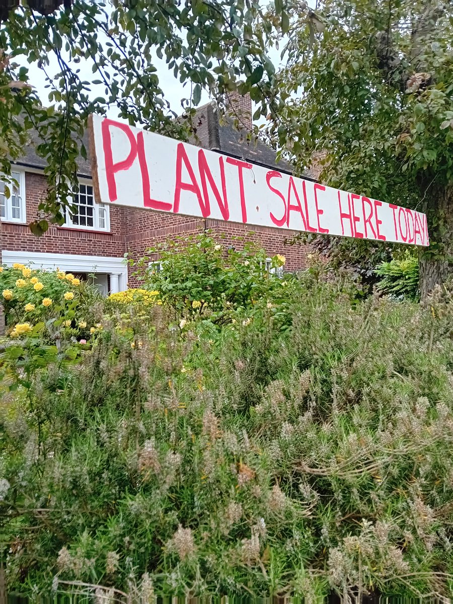 Anthony, has been raising funds for years with his plant sale. Last week's sale raised over £7,660.
He has been supported by his wife Ruth and has raised a staggering £38,000 for Brain Research UK in total over the years.

We really cannot thank you enough 💙

#BrainResearch