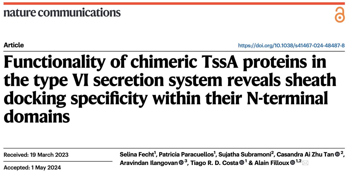 Our T6SS paper on TssA is now available @NatureComms A publication marathon but so happy to see this accepted on my birthday TssA is an intriguing protein providing specificity and fine tuning in T6SS assembly and firing. Thank you so much for your brilliant work Selina et al