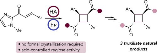 A General Synthetic Strategy toward the Truxillate Natural Products via Solid-State Photocycloadditions @J_A_C_S #Chemistry #Chemed #Science #TechnologyNews #news #technology #AcademicTwitter #ResearchPapers pubs.acs.org/doi/10.1021/ja…