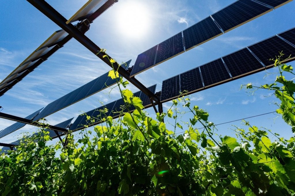 Construction d’un projet agrivoltaïque dynamique sur des vignes bio: Réalisée par Sunti en coopération avec Sun'Agri, la centrale agrivoltaïque 3,8 MWc installée sur cinq hectares s’inscrit dans le cadre du… dlvr.it/T7FHPC #solarenergy #France #Énergierenouvelable