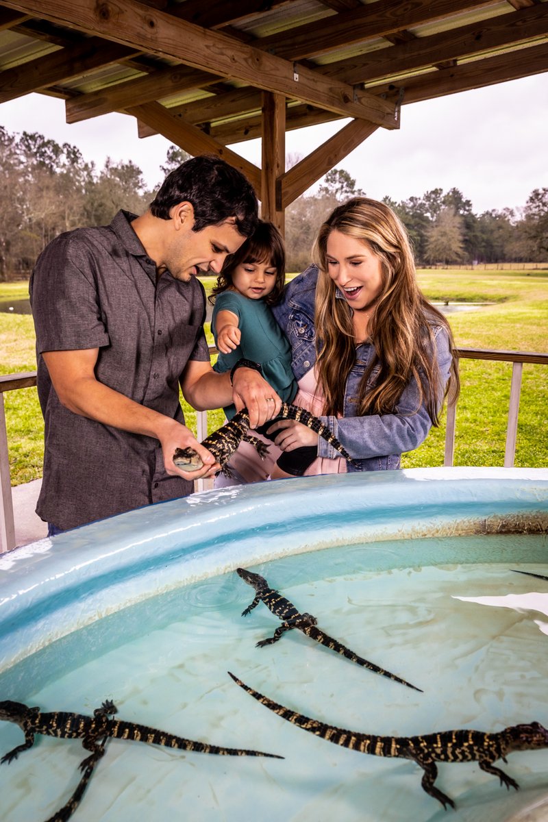 Erica Sweeney Glory tweet media