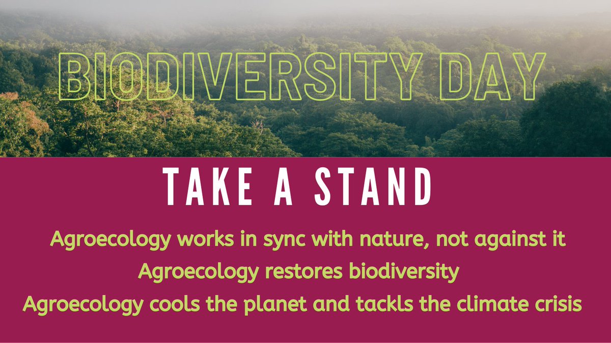 Happy #BiodiversityDay! Yes, nature is in crisis and #agroecology can help restore #biodiversity, cools the planet and contribute to a more inclusive, resilient, healthy and sustainable life for all. #Agroecology4Biodiversity