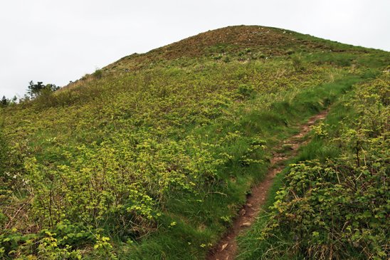 Third and final part of my series on the cave and cairn on Gop Hill nr Prestatyn, this time looking at the cairn - the biggest prehistoric monument in Wales, second only to Silbury Hill in Britain, excavated only once, by Sir William Boyd Dawkins in 1867
wp.me/pcZwQK-5hf