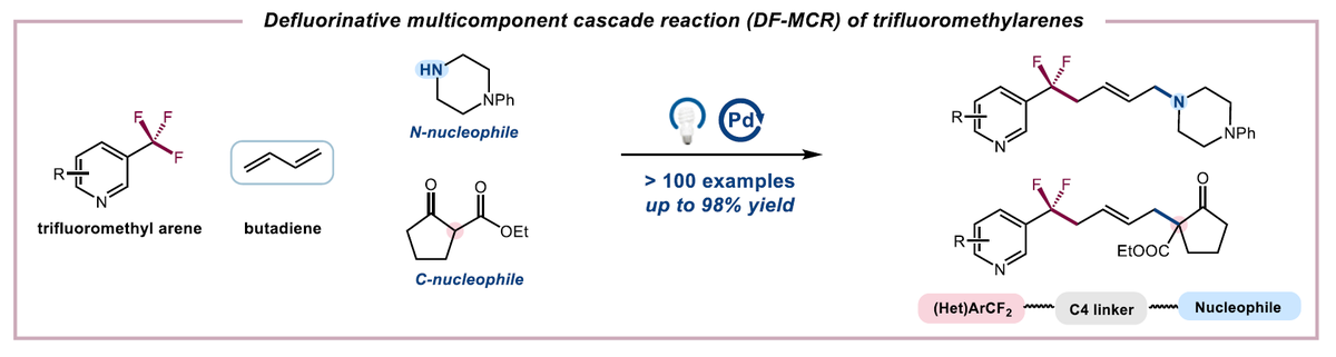 Xiaheng Zhang tweet media