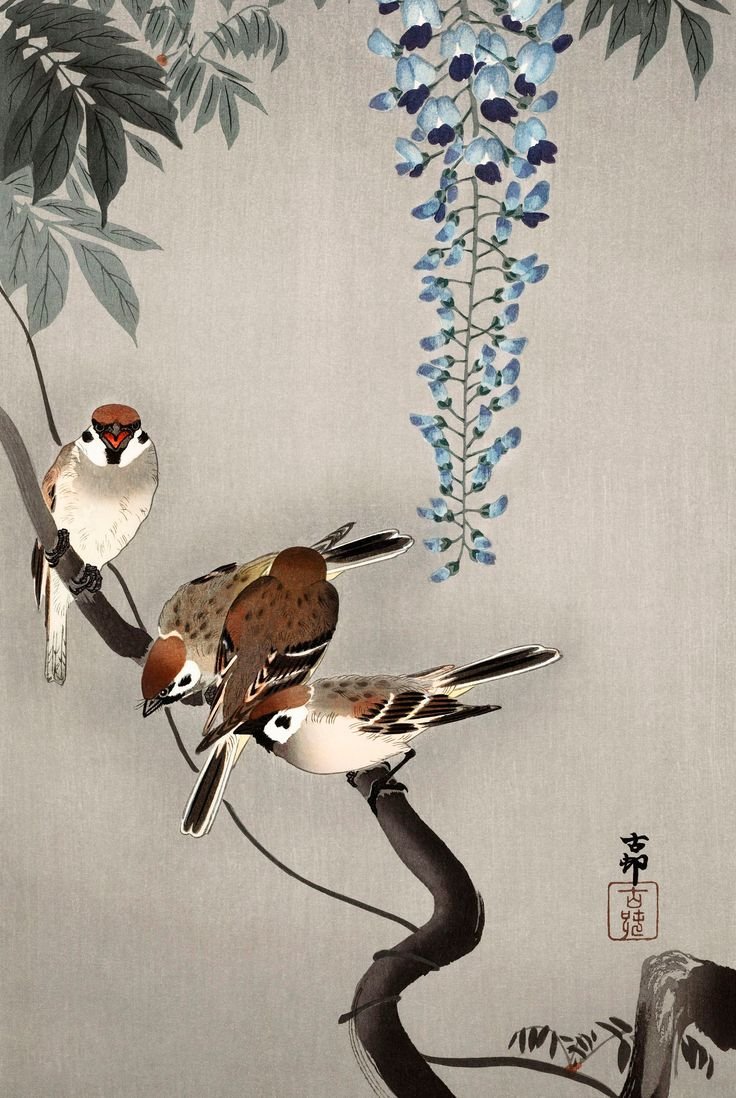 Ring Sparrows at Wisteria by Ohara Koson