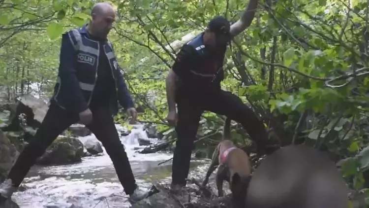 Giresun'da kan donduran cinayet! Sopayla döverek öldürüp cansız bedenini uçuruma attılar hurriyet.com.tr/gundem/giresun…