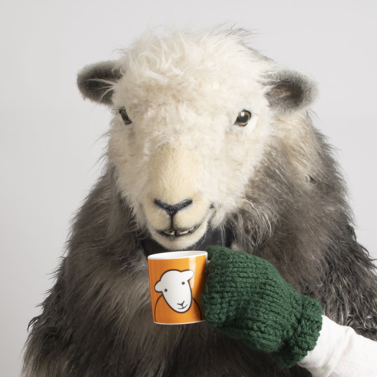The baa-rilliant Heidi and Henrietta the Herdwicks 🐑(and their pram full of lambs) will be joining us to celebrate the opening of our BRAND NEW #Ambleside store this Saturday!

Pop by and say hi! 👋

#Herdy #Herdwick #BreadandButterCompnay #LakeDistrict