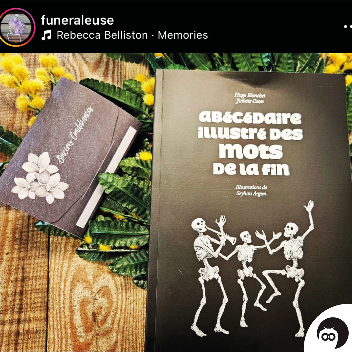 Perrousseaux's tweet photo. ❤️ Merci à vous lectrices et lecteurs de l’[Abécédaire des mots de la fin] pour vos photos et vos retours positifs !  #bookstagram #curiositeculturelle #perrousseaux #illustration #abecedaire #hugoblanchet #juliettecazes #etymologie s 📖✨ @lebizarreum1  @Hugorodru  @SeyhanArgun https://t.co/2VqRfRpgvK