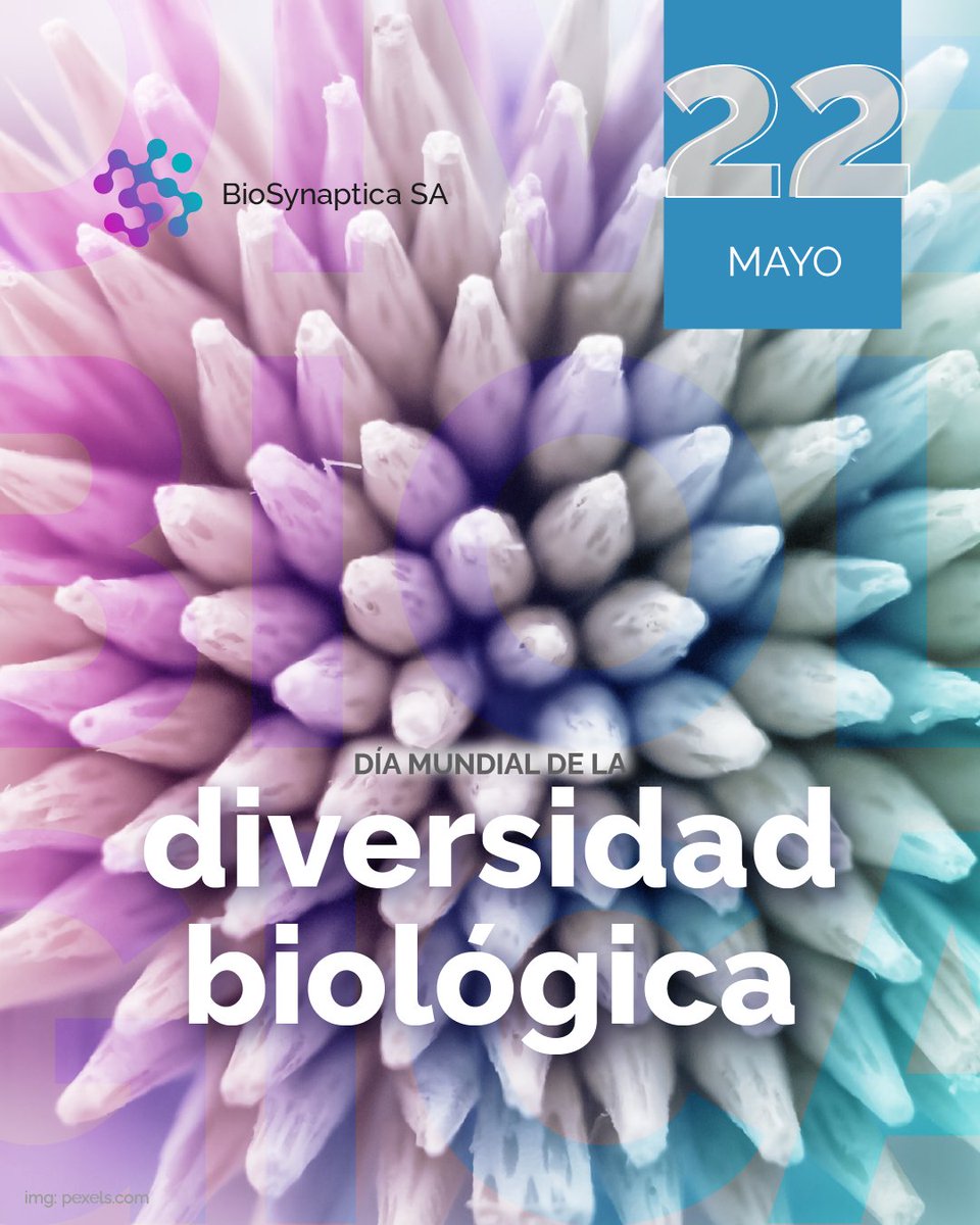 BioSynaptica tweet media