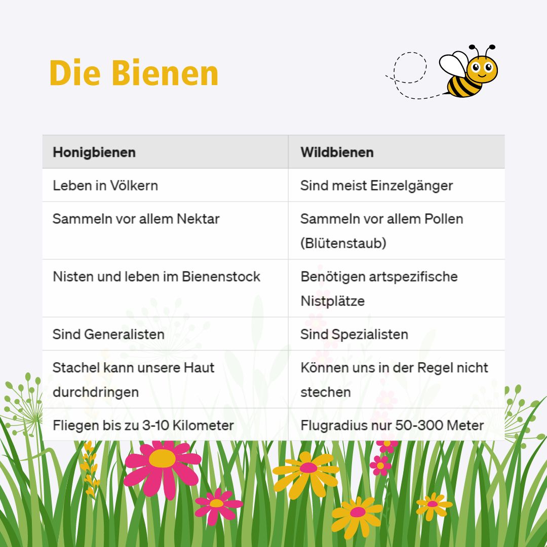Die #Bauten und das #Sozialverhalten von #Bienen dienen uns als #Vorbild für #Erfindungen in #Technik und #Informatik. #Unterrichtsmaterial dazu findest du in unserer #Mediathek: fwu-mediathek.de/?record=xfwu-5…