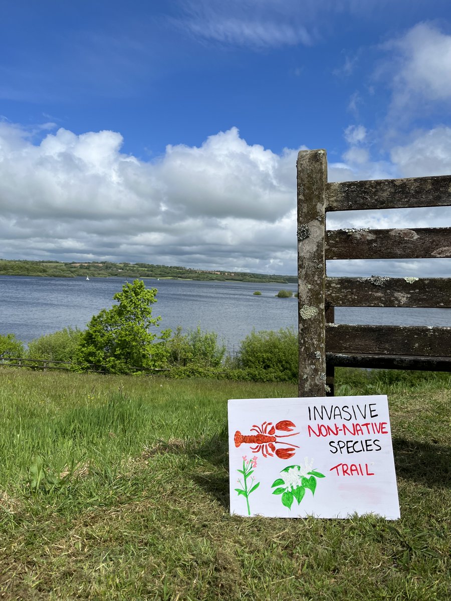 South West Lakes Trust (@swlakes) on Twitter photo It’s Invasive Species Week!🌿
Follow our invasive species trail at Roadford or Upper Tamar Lake this weekend to learn about invasive non-native species found in the UK.🔎
More info: swlakestrust.org.uk/invasive-speci…
<a href="/SouthWestWater/">South West Water</a> <a href="/InvasiveSp/">Invasive Species Week</a>
#INNSWeek #ItsYourOutdoors It’s Invasive Species Week!🌿
Follow our invasive species trail at Roadford or Upper Tamar Lake this weekend to learn about invasive non-native species found in the UK.🔎
More info: swlakestrust.org.uk/invasive-speci…
<a href="/SouthWestWater/">South West Water</a> <a href="/InvasiveSp/">Invasive Species Week</a>
#INNSWeek #ItsYourOutdoors