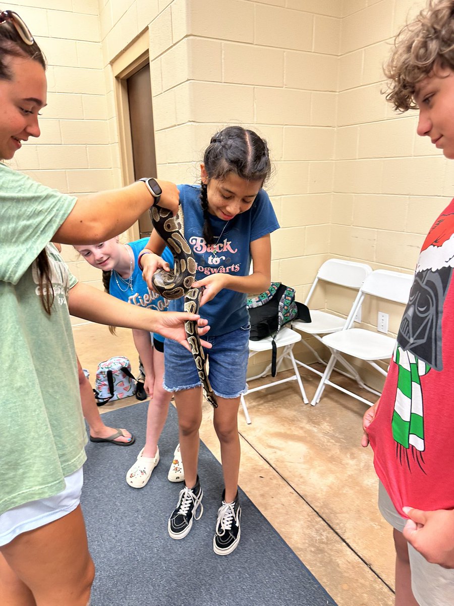 WesleyTabatha's tweet photo. SNAKES! #TitanStrong #4HCamp #jekyllisland #snakes @Georgia4H https://t.co/uEGkiJSbHE