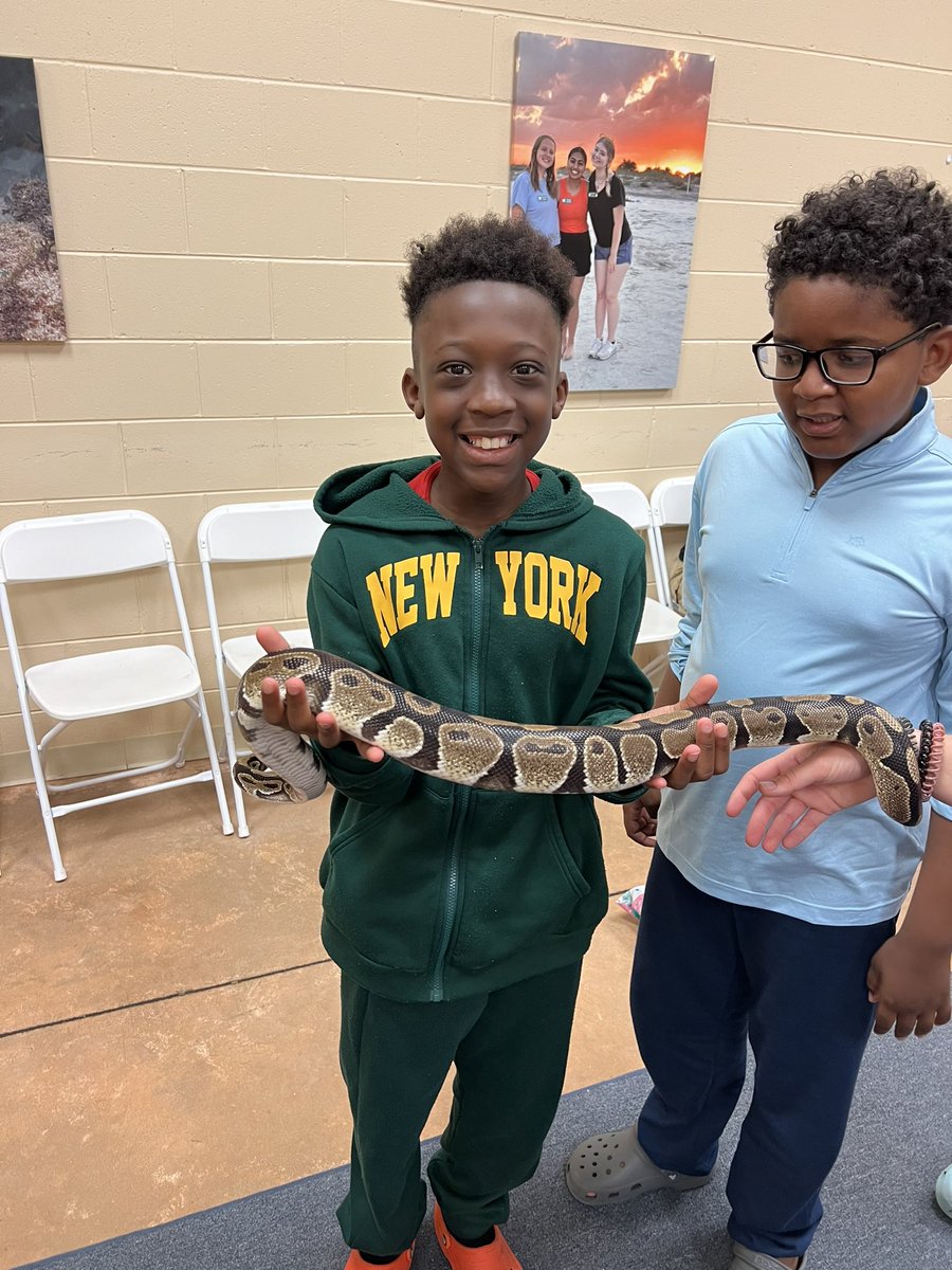 WesleyTabatha's tweet photo. SNAKES! #TitanStrong #4HCamp #jekyllisland #snakes @Georgia4H https://t.co/uEGkiJSbHE