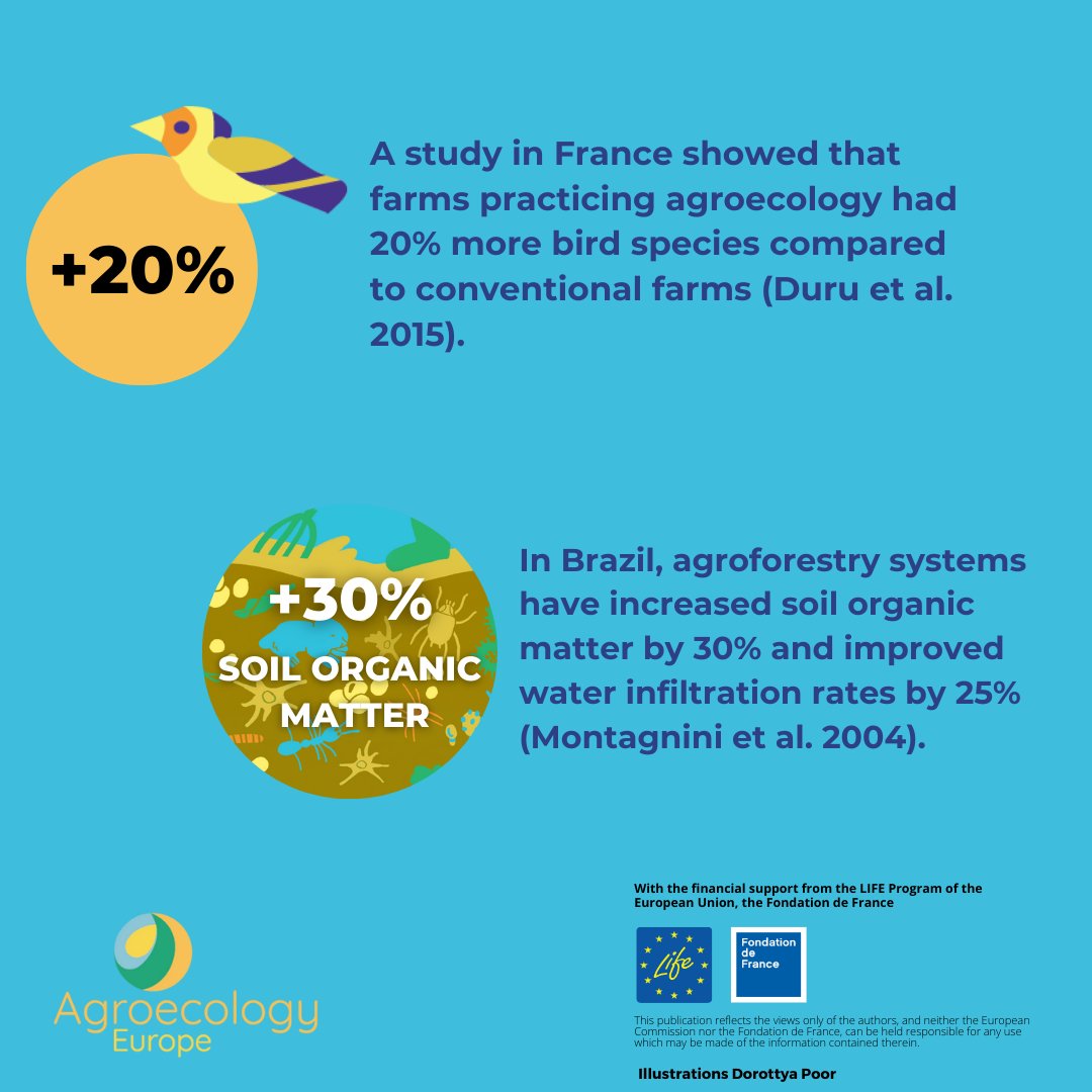 Agroecology has a lot to say on International #BiodiversityDay. Agriculture and #agroecology have a central role in preserving natural and cultivated #biodiversity. Find out how #agriculture works #fornature in our newest factsheet! 🕊🌾🐍🦔🌼🐝🌳🐟 agroecology-europe.org/factsheets/