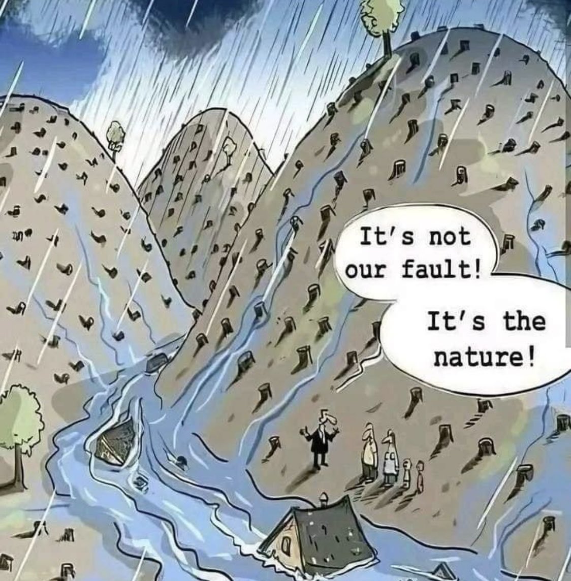 JensWieting's tweet photo. Clearcutting was never a good idea in the first place, clearcutting during the #climatecrisis is reckless #bcpoli #cdnpoli #forest #climateaction https://t.co/ae81BUDsvL