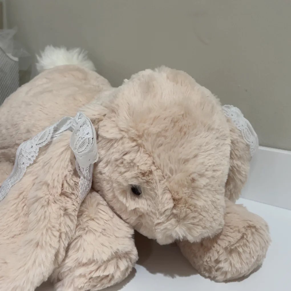 ୨୧ mt after dm tweet media