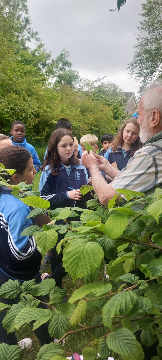 Scoil Mhuire, Coolcotts tweet media