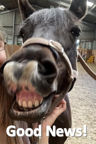 InspiredEAL's tweet photo. Funding from the Health Inequalities VCSE Grant Fund and UKSPF &amp; Richard Lake’s Youth Engagement Scheme will allow us to run projects for children &amp; young people from the local community #equinetherapy #neurodevelopmental #childdevelopment #mentalhealth #confidence #lincsconnect https://t.co/9VRILYNdBp