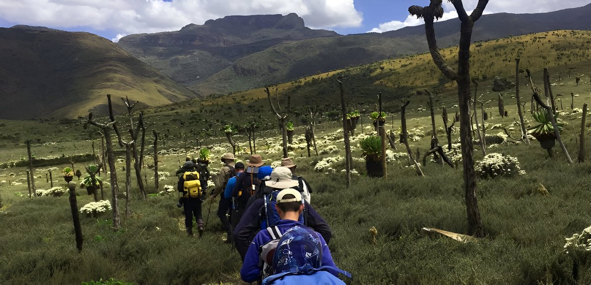 MountElgon2's tweet photo. A safari to Mount Elgon is usually tailored with a safari to Kidepo valley national park and a jinja source of the Nile tour towards Mount Elgon. Follow the link below for details https://t.co/WUp93KCdzI #mountelgonnationalpark #mountelgonnationalparksafaris #mountelgonpark https://t.co/ppmjp6tJIf