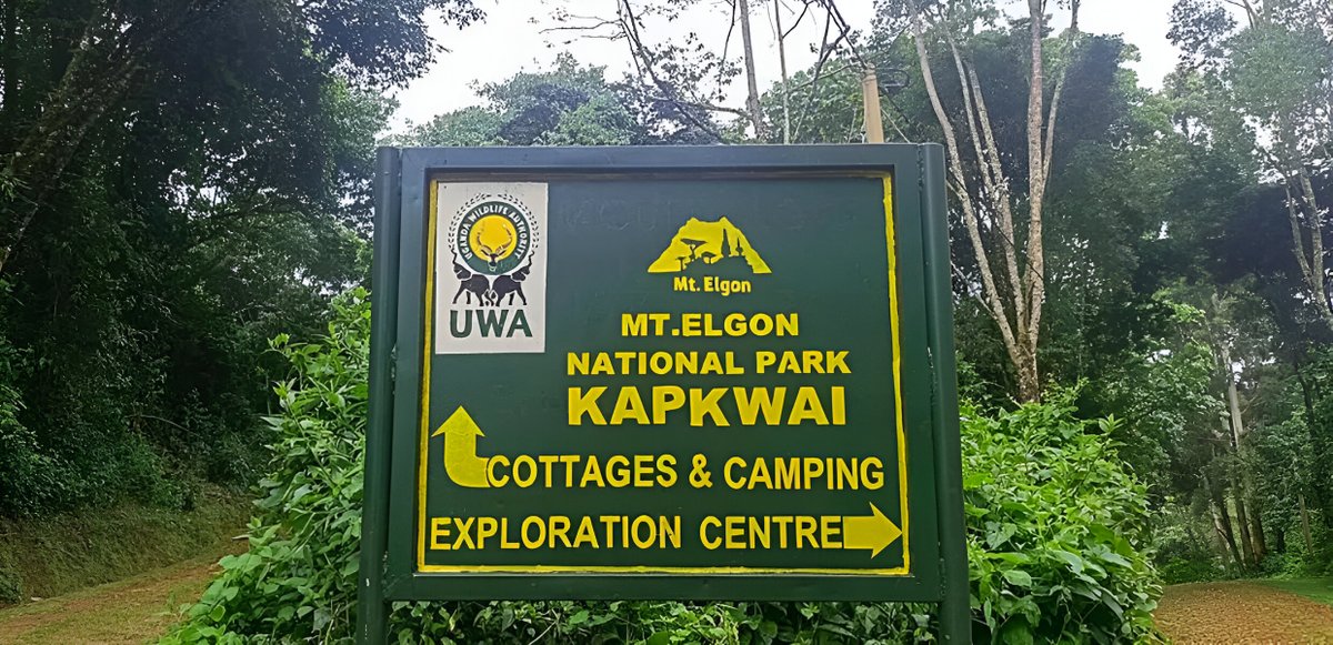 MountElgon2's tweet photo. The Forest Exploration Center at Kapkwai is about 13 km from Sipi town. Details are in the link below https://t.co/8PPhABkjlD #kapkwai #kapkwaiforestcenter #kapkwaiforestcenterinmountelgonnationalpark #mountelgonnationalpark #mountelgonnationalparksafaris https://t.co/oqKhyiNhhS