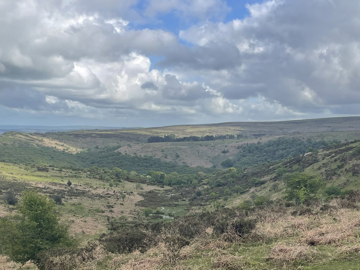 Thomas Murphy tweet media