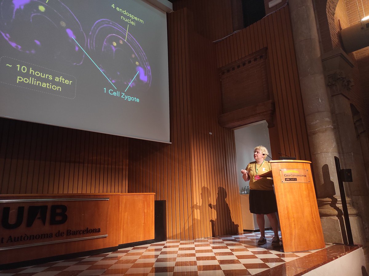 Now is the turn for @SaraSimonini84 to show her last work in the #Polycomb role in the development of Arabidopsis female gametophyte. PRC2 controlling cell division of the CC before and after fertilisation #EWPC2024 #cuttingflowers