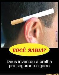 cigarrotwt🚬 (@cigarrotwt) on Twitter photo 