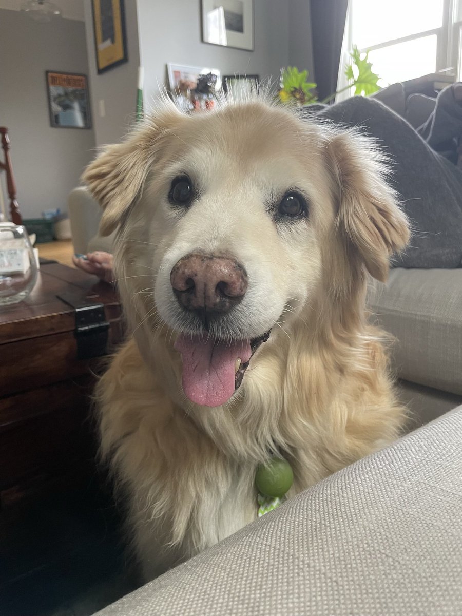 Manisha Pai tweet media