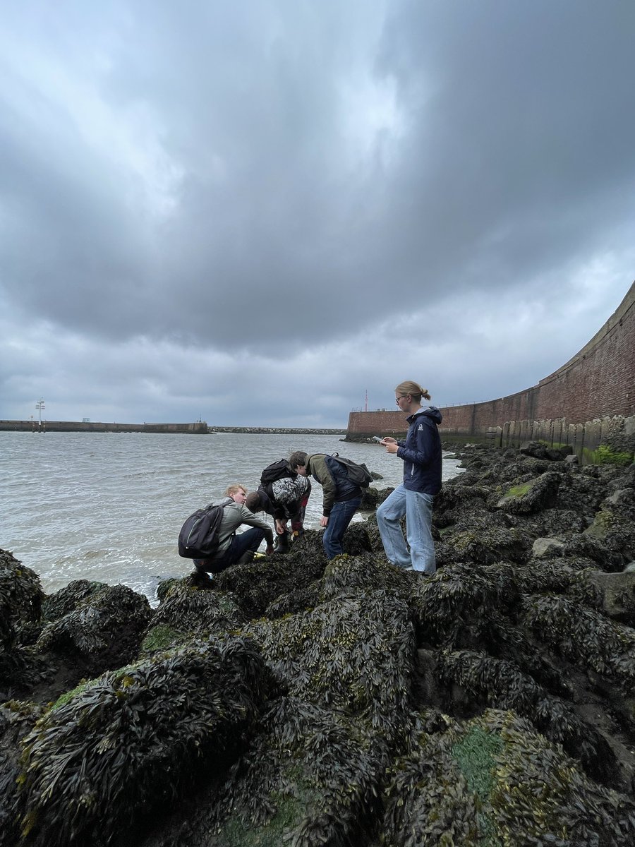 nicole de voogd tweet media