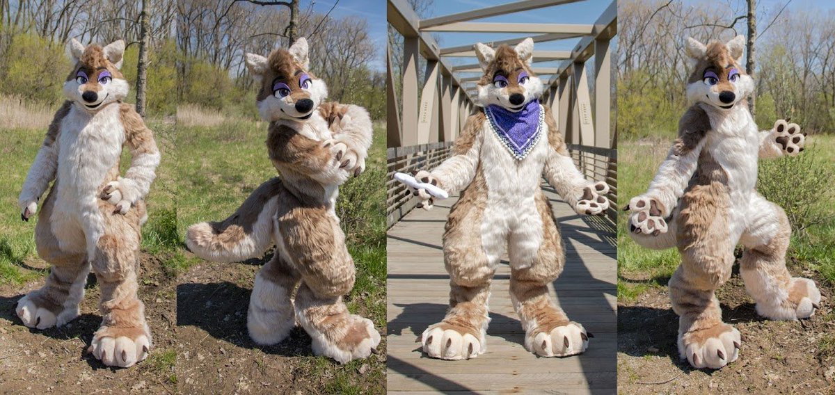 Pre-made fullsuit for sale:
pocketwolffursuits.com/coyote-fullsuit
Please adopt her.