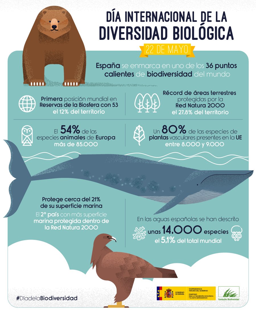 Nuestro país es un auténtico referente a nivel mundial en cuanto a riqueza y protección de la #biodiversidad. Un privilegio pero también una importante responsabilidad 💪 #DíaDeLaBiodiversidad #SemanaDeLaBiodiversidad #DíadelaDiversidadBiológica