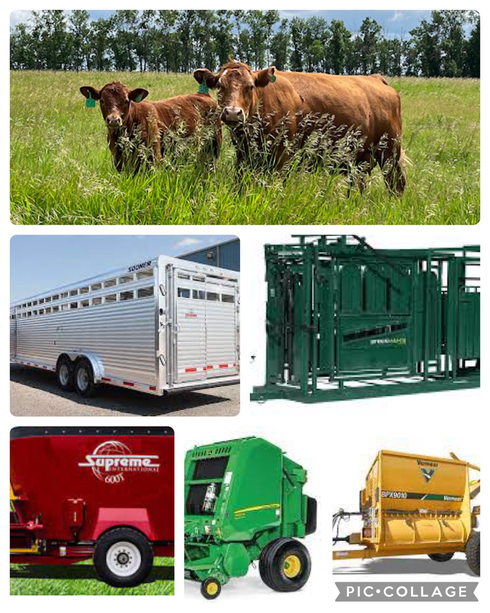 Ryan Patterson tweet media