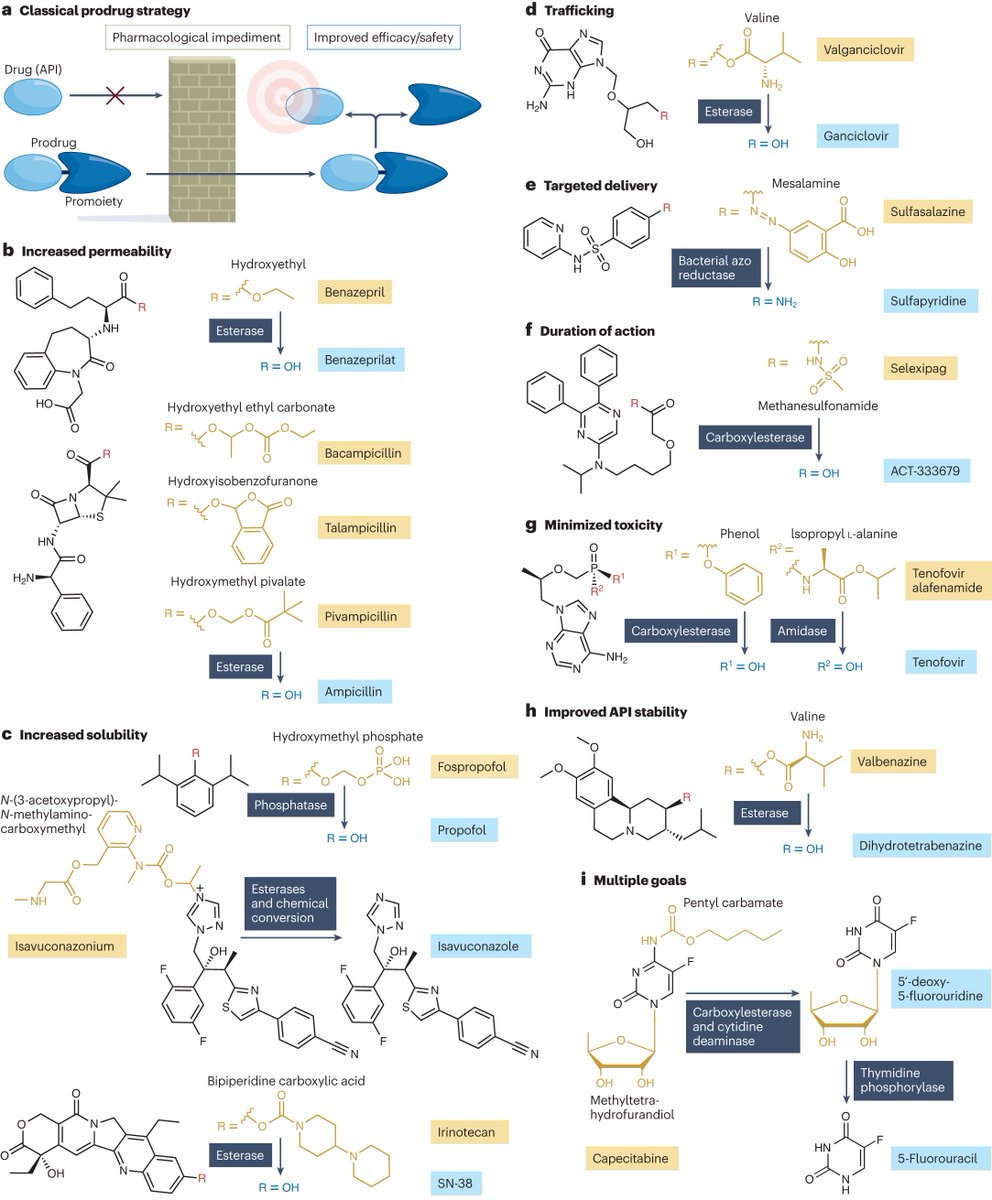 Interested in prodrugs? This review in the June issue analyses approved prodrugs and discusses trends in their development, design rationales, indications, mechanisms of API release, chemistry of promoieties and market impact bit.ly/43I3X1U rdcu.be/dIGPU