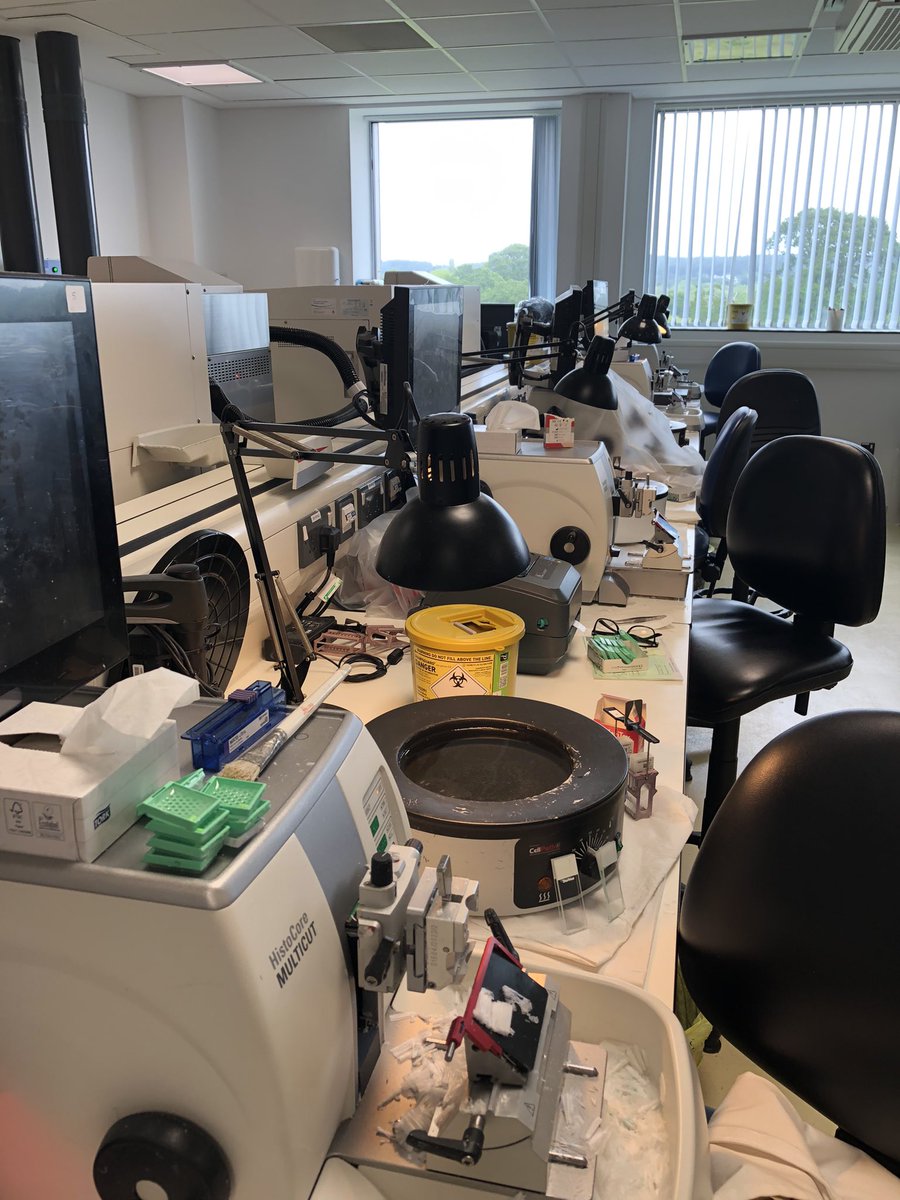 Andy Martin (@andym_editor) on Twitter photo Fascinating to tour the new Dorset Pathology Hub this afternoon at Bournemouth Hospital. An absolute game changer for the whole county in terms of productivity, results and patient outcomes. An amazing facility. <a href="/UHD_NHS/">University Hospitals Dorset NHS Foundation Trust</a> <a href="/S_HarringtonNHS/">Siobhan Harrington</a> <a href="/BCPCouncil/">BCP Council</a> <a href="/VikkiSlade72/">Vikki Slade MP πΆπ π³οΈββ§οΈπ³οΈβπ</a> <a href="/stirlingfellow/">James Donald π</a> Fascinating to tour the new Dorset Pathology Hub this afternoon at Bournemouth Hospital. An absolute game changer for the whole county in terms of productivity, results and patient outcomes. An amazing facility. <a href="/UHD_NHS/">University Hospitals Dorset NHS Foundation Trust</a> <a href="/S_HarringtonNHS/">Siobhan Harrington</a> <a href="/BCPCouncil/">BCP Council</a> <a href="/VikkiSlade72/">Vikki Slade MP πΆπ π³οΈββ§οΈπ³οΈβπ</a> <a href="/stirlingfellow/">James Donald π</a>
