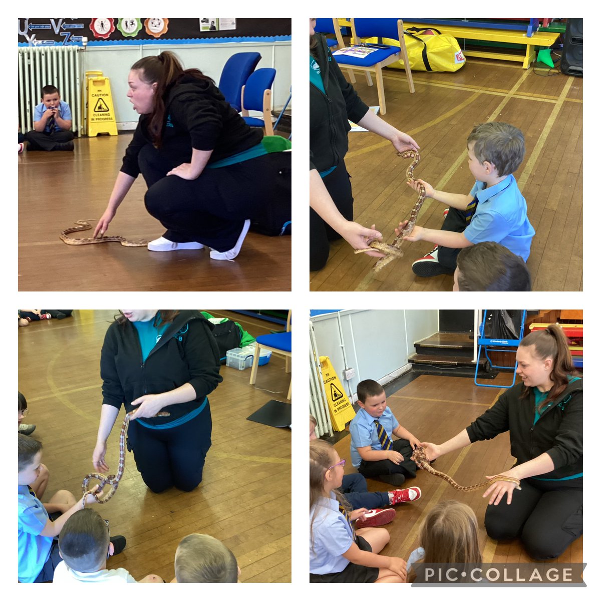 Mrs Lyons and Primary 7 tweet media