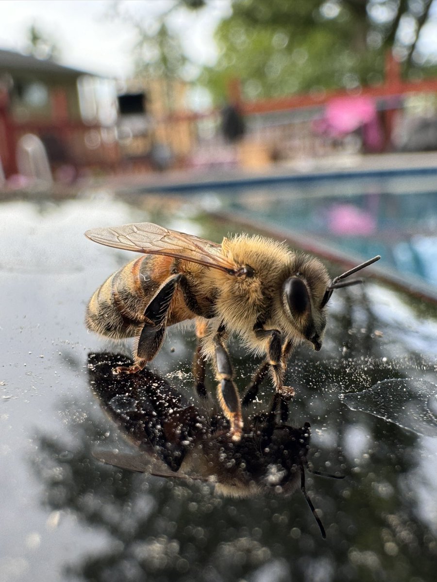 Andrew O'Hara tweet media