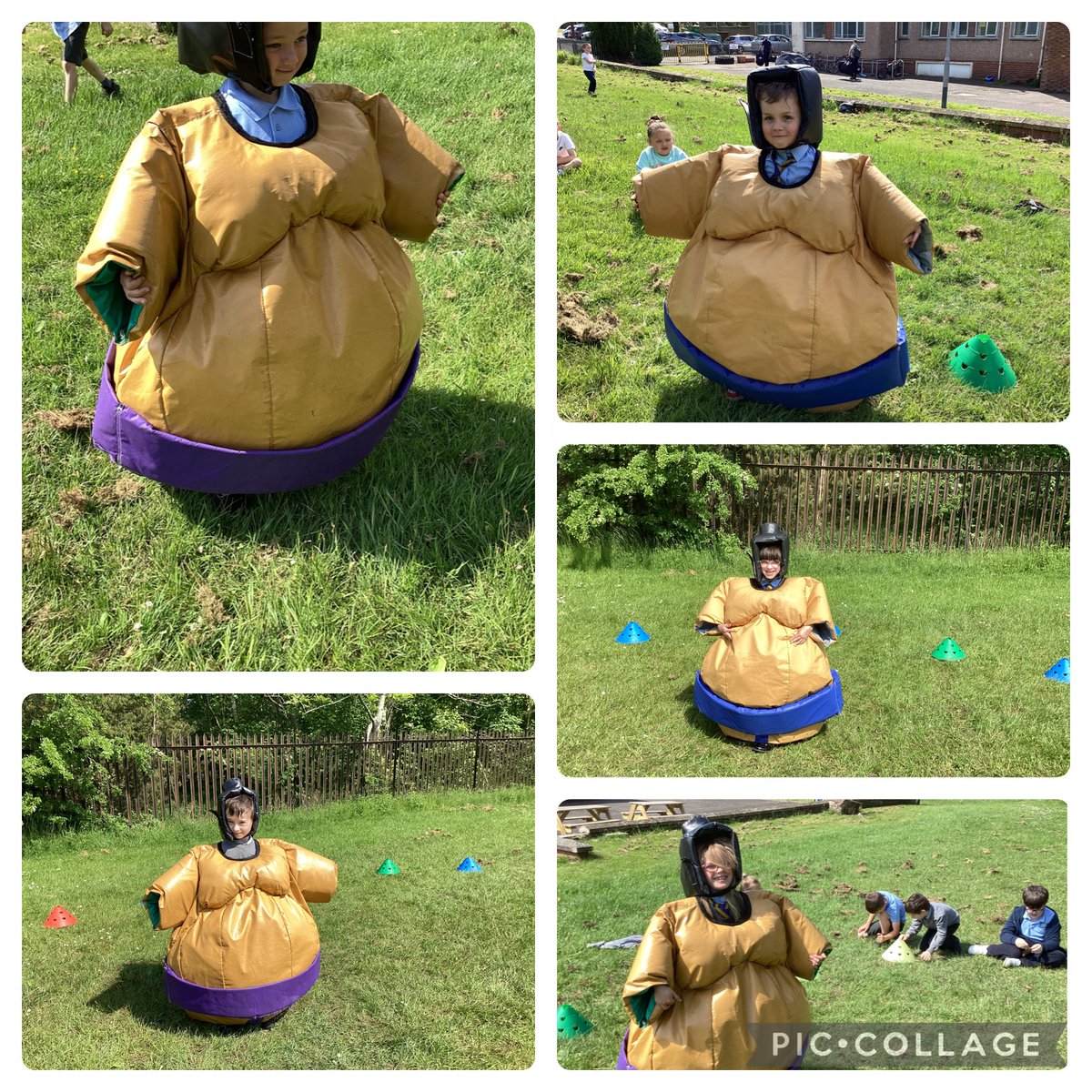 Mrs Lyons and Primary 7 tweet media