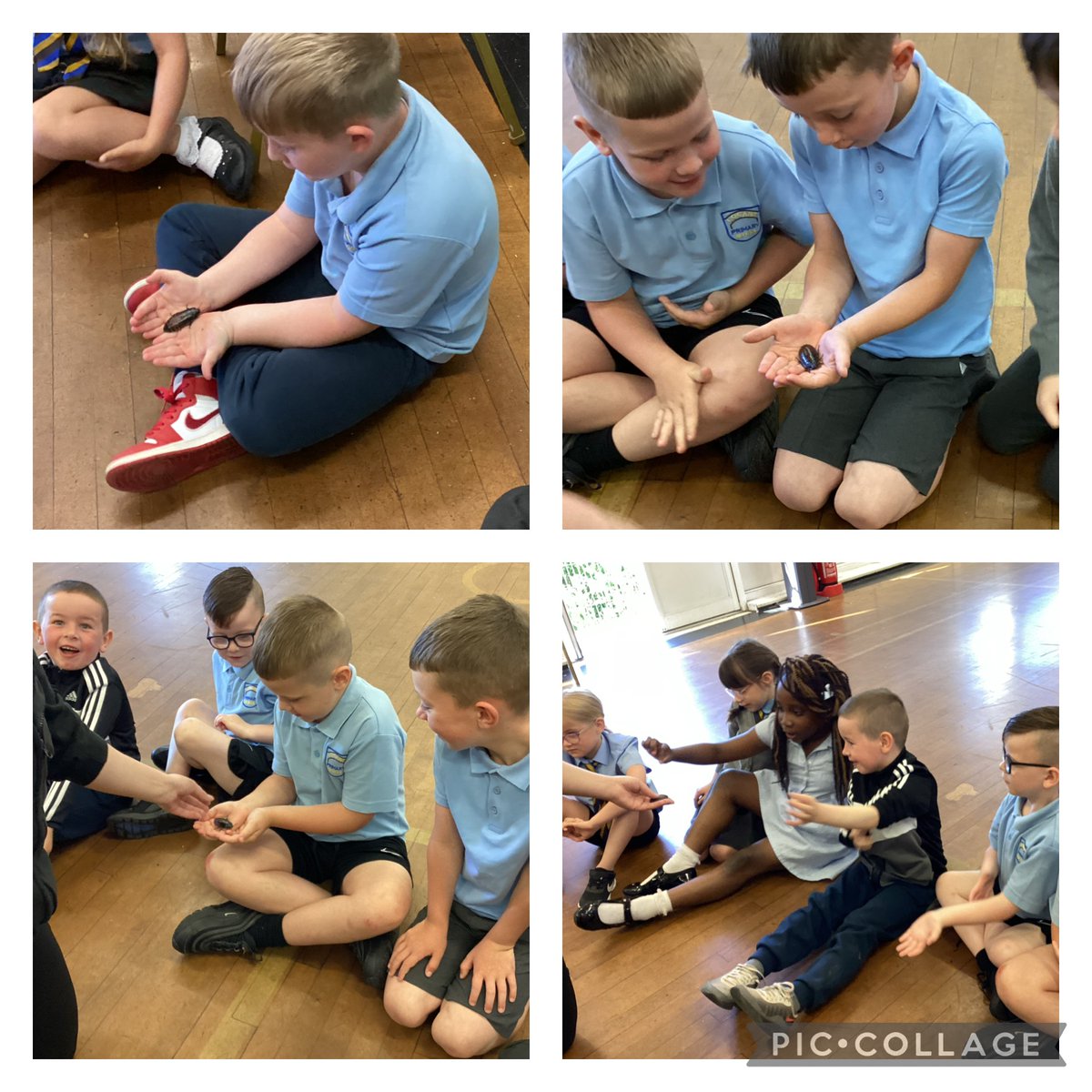 Mrs Lyons and Primary 7 tweet media