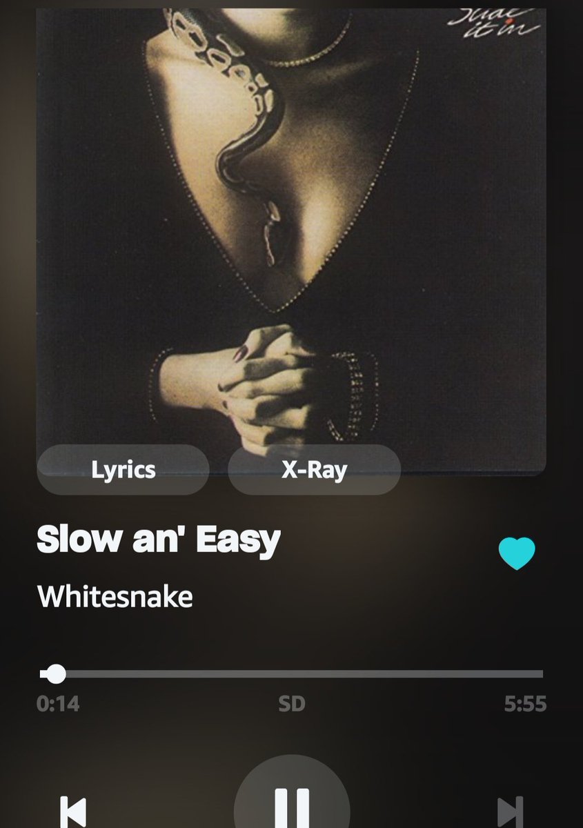 Whitesnake getting me through my morning. Do you like? #Whitesnake @DavidCoverdale