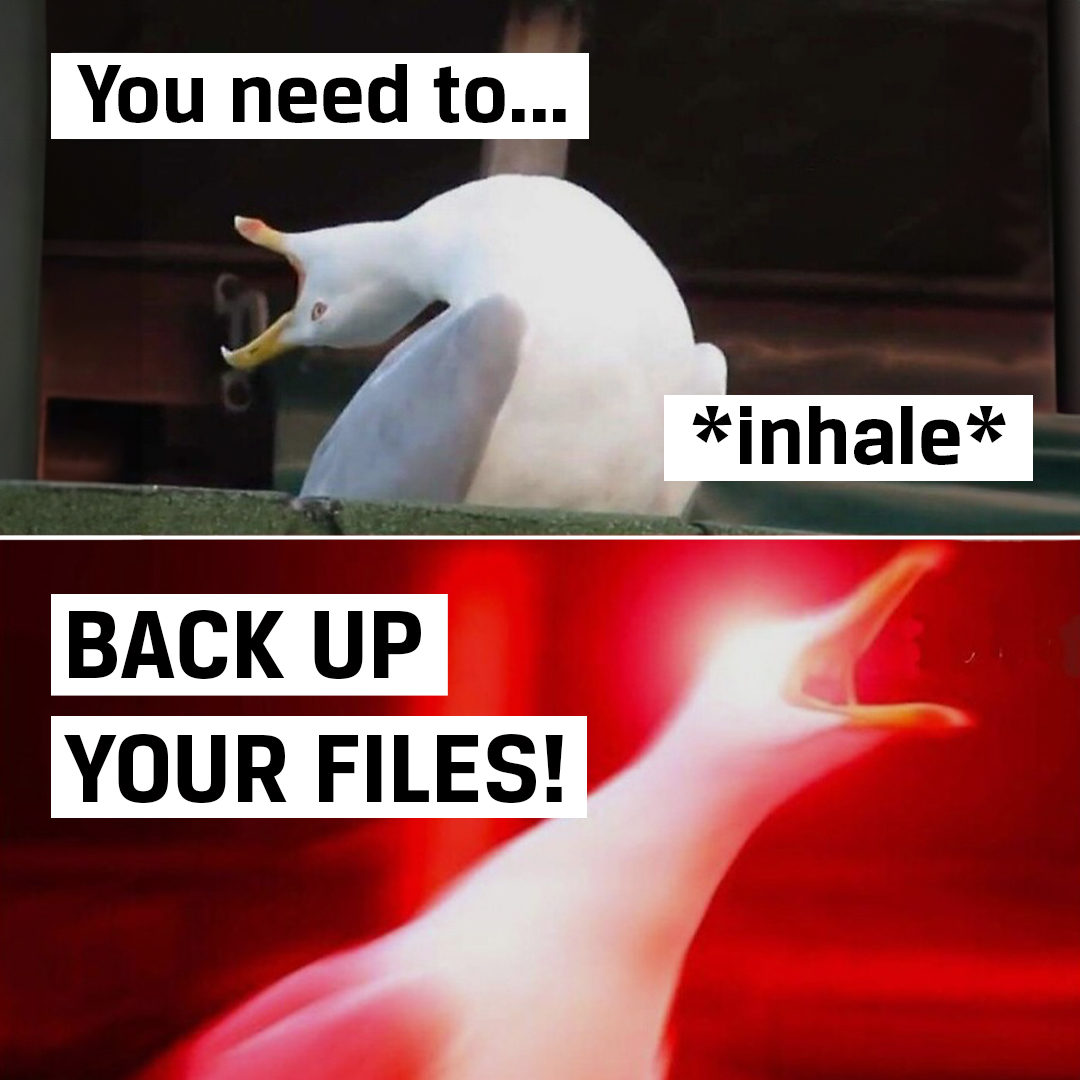 Do NOT make the #CyberHygiene seagull say this again. He probably already lost his voice anyway.