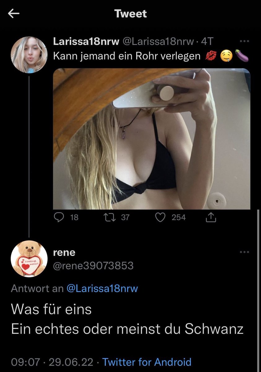 geckarbre's tweet photo. Rene stellt die wichtigen Fragen https://t.co/8RRdtQrElJ