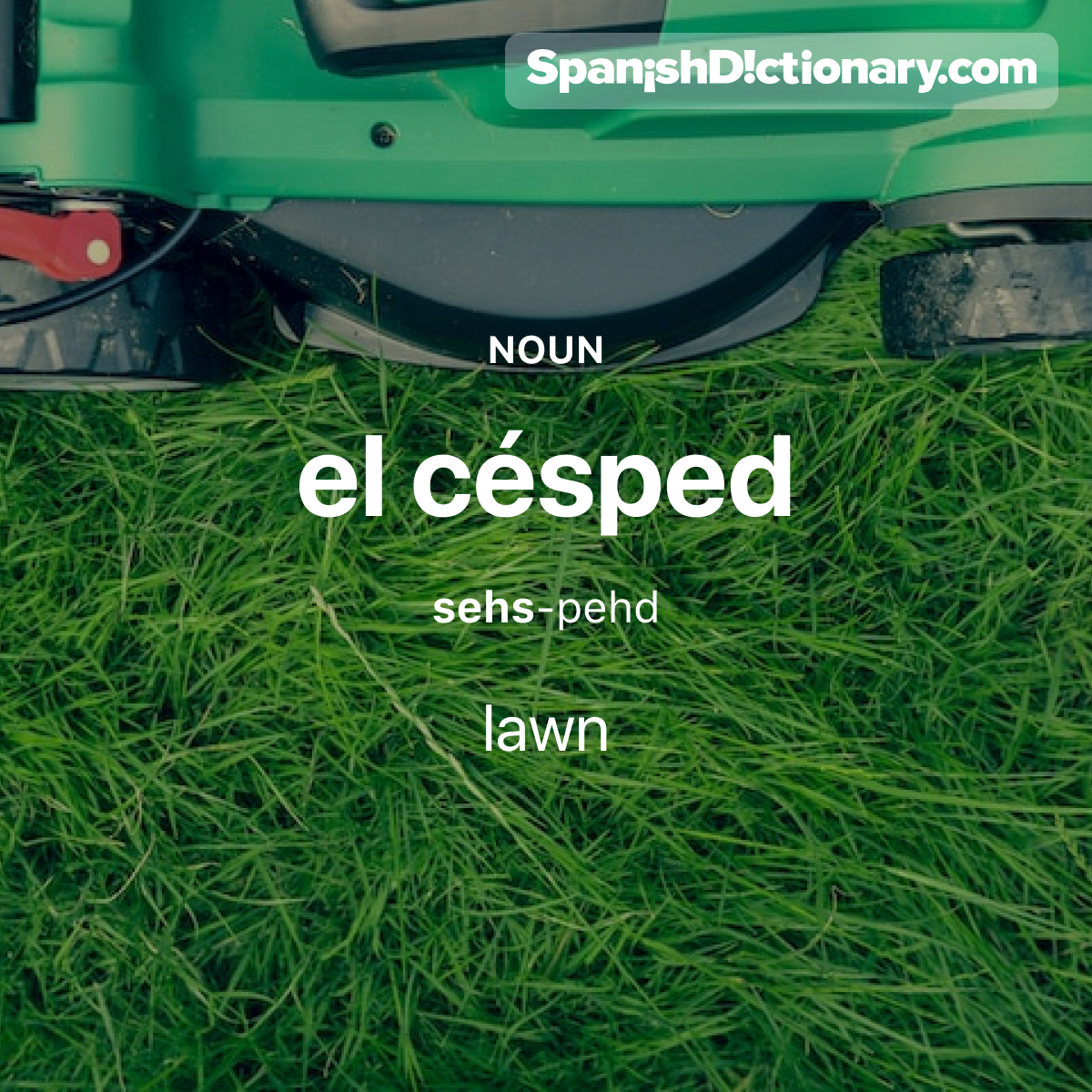 Today's #WordOfTheDay is 'césped.' 🏡🌿🌿 For example: Tengo que cortar el césped.  - I have to mow the lawn.
.
.
.
#EstudiaEspañol #StudySpanish #AprendeEspañol #LearnSpanish #Español #Spanish #LearningSpanish #PalabraDelDia #césped #lawn