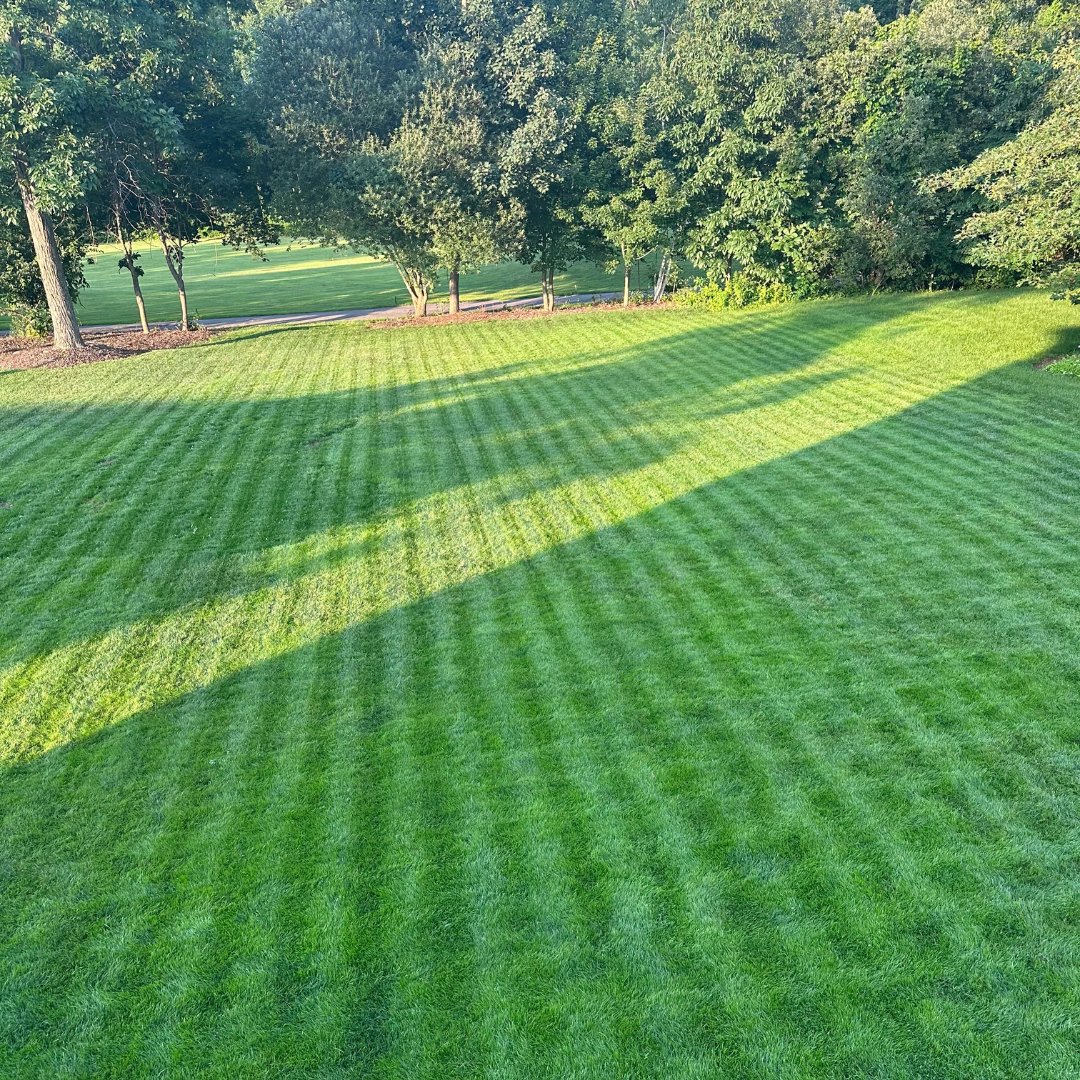 There's nothing like those fresh green stripes 🤩 We always love seeing our customers progress using Harrell's products, big thanks to John Keeler for sharing this one! #harrells #customerphotos #lawnstripes #lco #partnerforsuccess #growingabetterworld #customer #freshcutlawn
