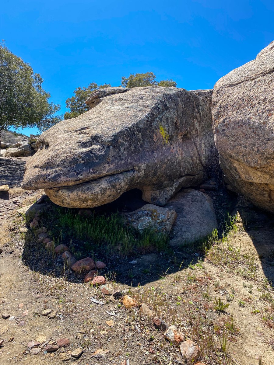 thedividingline's tweet photo. #Lizard.
#Vallecitos #LaRumorosa #BajaCalifornia #TravelPhotography #NaturePhotography #Rocks #Erosion #Time #Wondering #Exploring. https://t.co/0vIe8UPFG2
