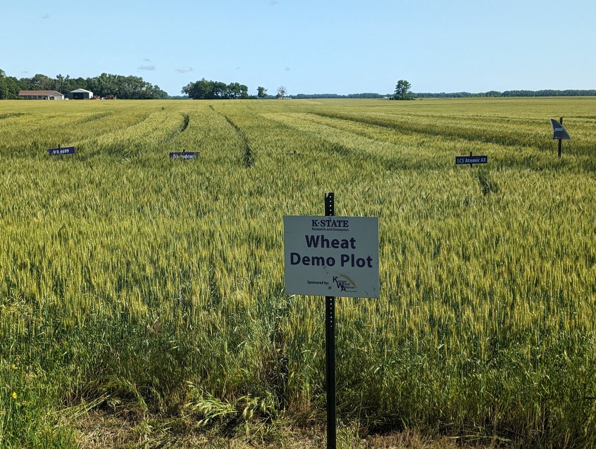 Jay Wisbey tweet media