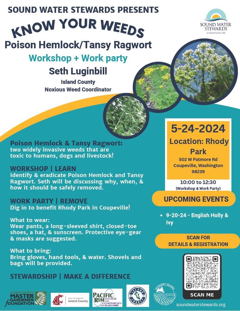 Join this work party in #Washington on May 24! Come and learn more about how to identify & eradicate poison hemlock and tansy ragwort, two #invasiveweeds that are toxic to humans, dogs & livestock!

playcleango.org/event/sound-wa…

#WSWS #invasiveplants #noxiousweeds #volunteer #teamwork